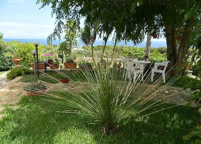 Cycas